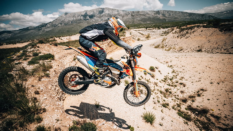 Mitas-SOMON-MARCIC_2